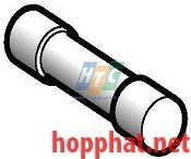 Cầu chì 10x38 2A - DF2CA02